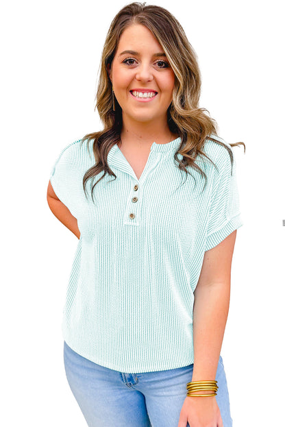 Iceland Blue Plus Size Textured Henley T Shirt