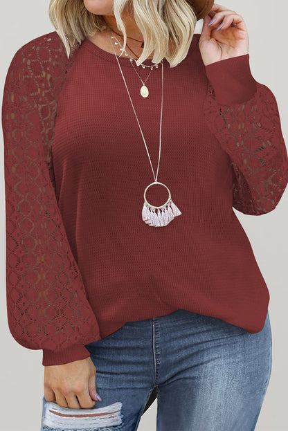 Red Plus Size Contrast Lace Sleeve Waffle Knit Top