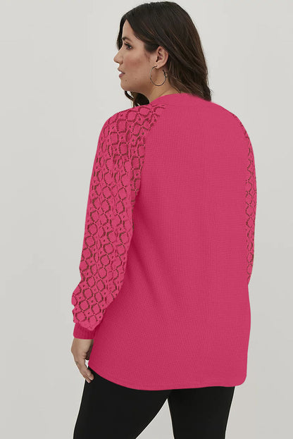 Red Plus Size Contrast Lace Sleeve Waffle Knit Top